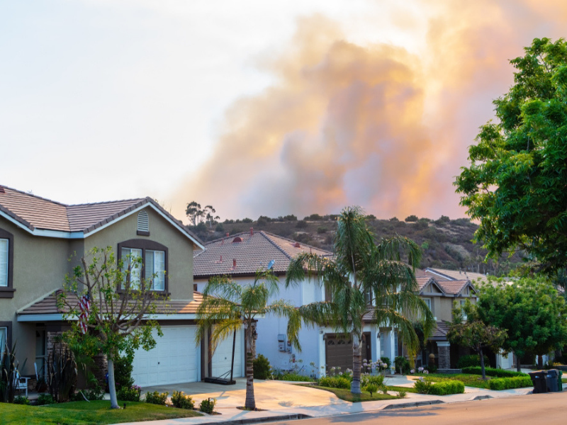 content_Windermere_Real_Estate_Blog_-_Wildfire.png